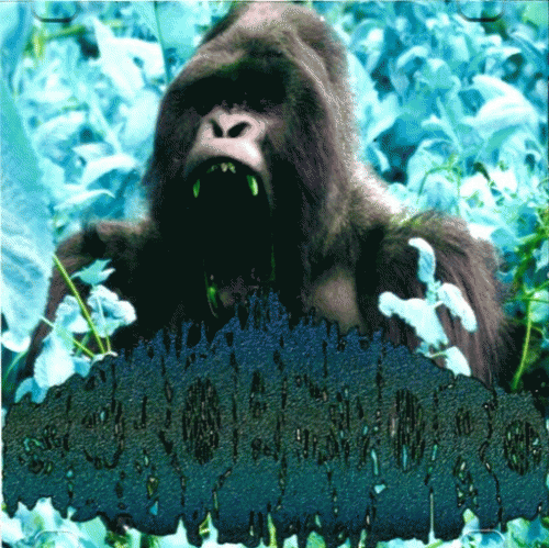 Geropetoro : Goregrind Scumriots